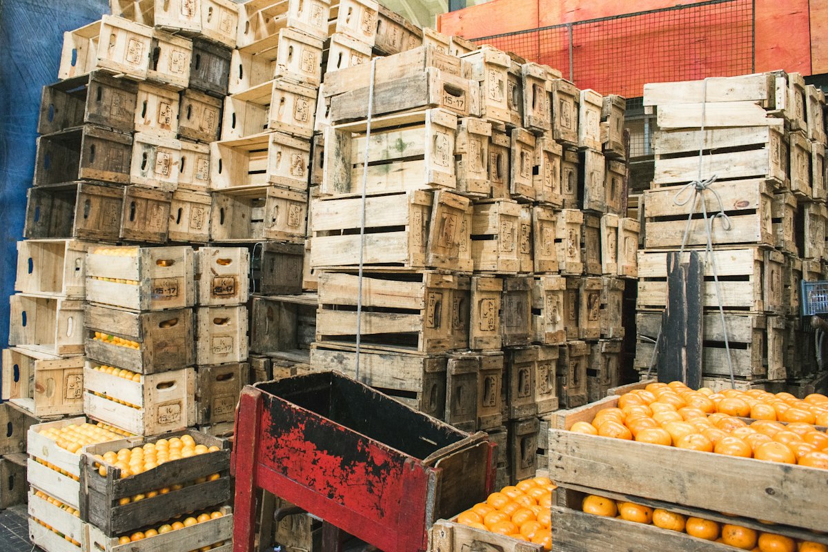 El cuarto de poscosecha: ceras, coadyuvantes y envases que deciden el alcance del vaciado